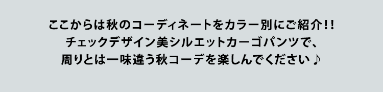 チェックデザイン美シルエットカーゴパンツ - Image 29