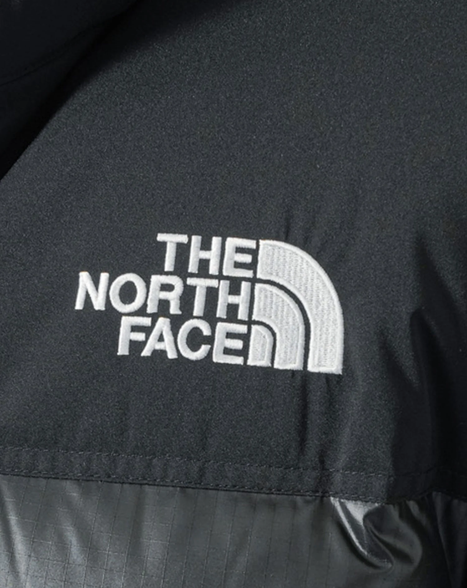 ザ・ノース・フェイス(THE NORTH FACE)エコヌプシダウンジャケット - Image 14